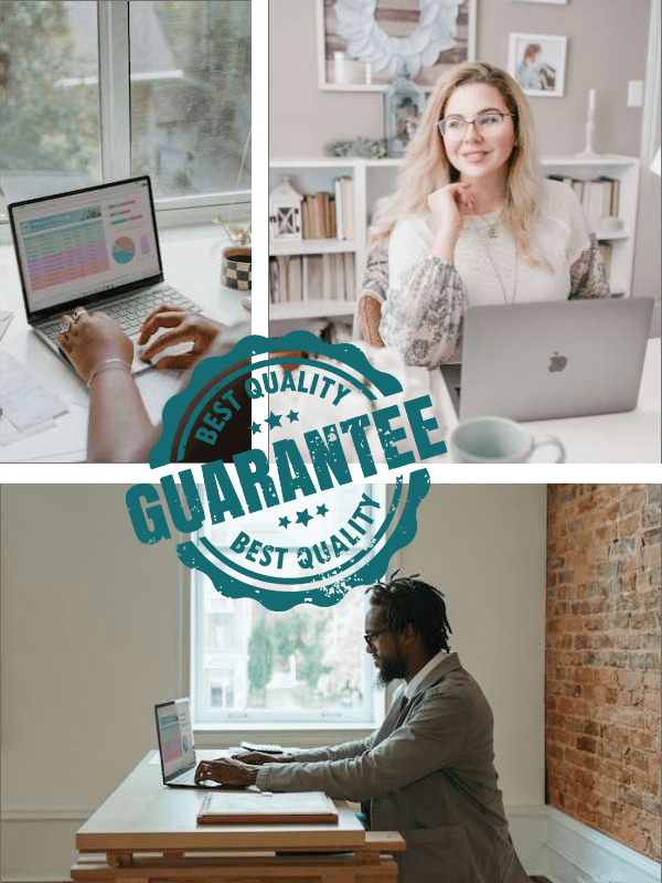 Equipe de TI desenvolvendo sistemas empresariais
